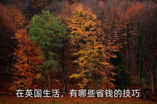 在英國生活，有哪些省錢的技巧