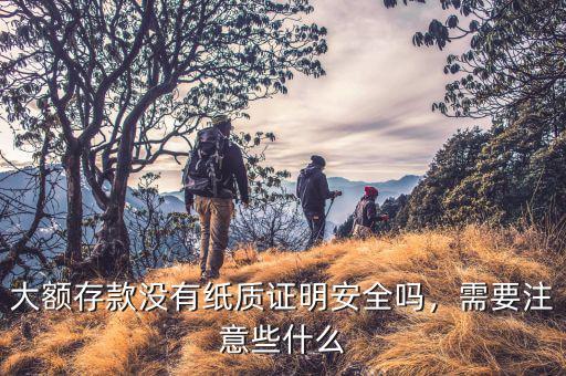 大額存款沒有紙質(zhì)證明安全嗎，需要注意些什么