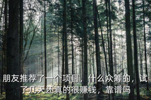 朋友推薦了一個項目，什么眾籌的，試了幾天還真的很賺錢，靠譜嗎