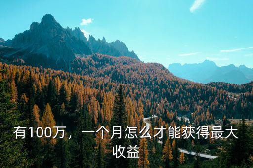 有100萬(wàn)，一個(gè)月怎么才能獲得最大收益