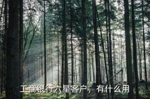 工商銀行六星客戶，有什么用