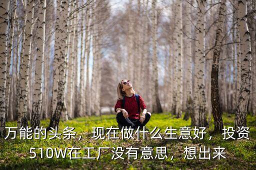 萬能的頭條，現(xiàn)在做什么生意好，投資510W在工廠沒有意思，想出來