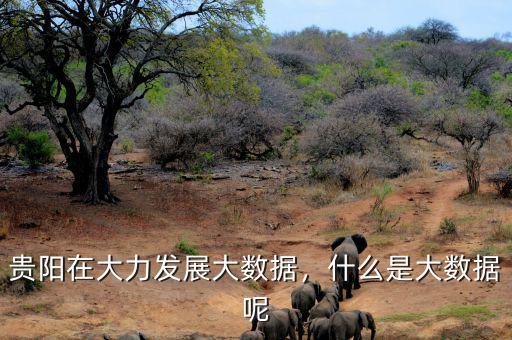 貴陽(yáng)在大力發(fā)展大數(shù)據(jù)，什么是大數(shù)據(jù)呢