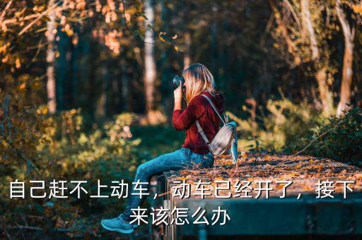 自己趕不上動車，動車已經(jīng)開了，接下來該怎么辦