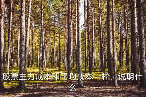 股票主力成本和平均成本一樣，說明什么