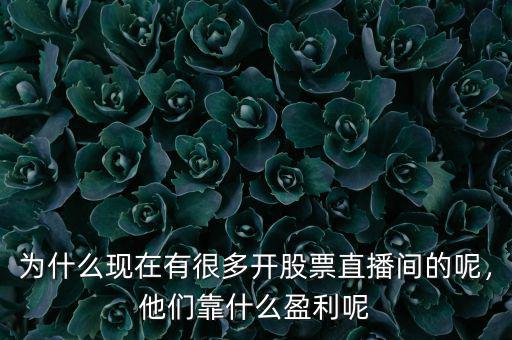 為什么現(xiàn)在有很多開股票直播間的呢，他們靠什么盈利呢