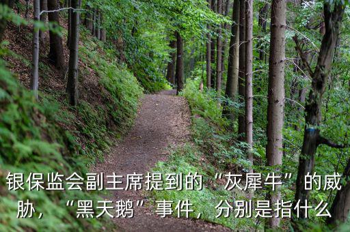 銀保監(jiān)會副主席提到的“灰犀?！钡耐{，“黑天鵝”事件，分別是指什么