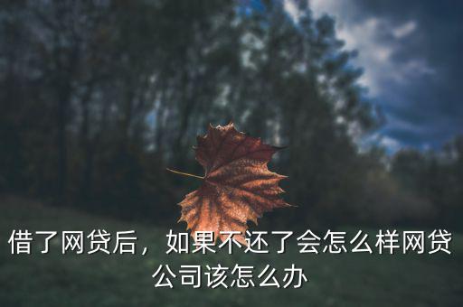借了網(wǎng)貸后，如果不還了會(huì)怎么樣網(wǎng)貸公司該怎么辦
