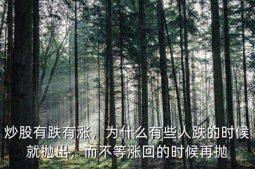 炒股有跌有漲，為什么有些人跌的時候就拋出，而不等漲回的時候再拋