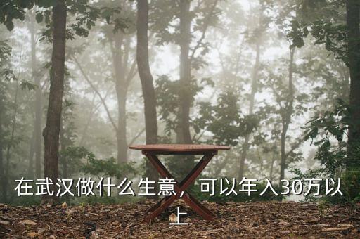 在武漢做什么生意，可以年入30萬以上