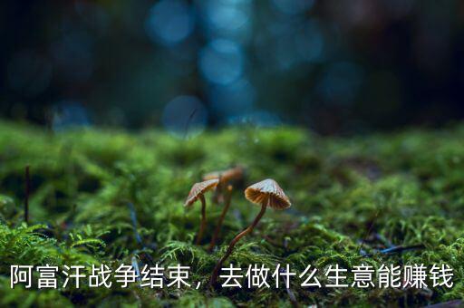 阿富汗戰(zhàn)爭結束，去做什么生意能賺錢