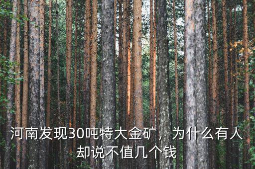 28噸黃金多少錢(qián),河南發(fā)現(xiàn)30噸特大金礦