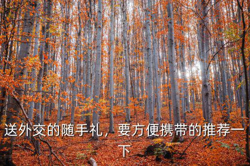 送外交的隨手禮，要方便攜帶的推薦一下