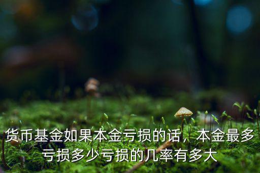 貨幣基金如果本金虧損的話，本金最多虧損多少虧損的幾率有多大
