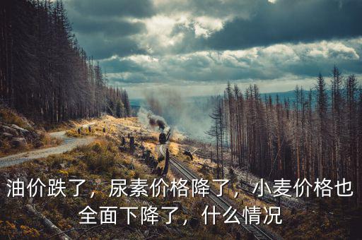 油價為什么一直跌,最近油價為什么跌這么厲害