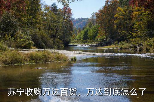 蘇寧收購萬達(dá)百貨，萬達(dá)到底怎么了