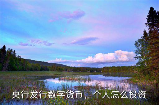 央行發(fā)行數(shù)字貨幣，個(gè)人怎么投資