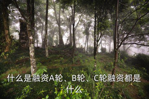 什么是融資A輪、B輪、C輪融資都是什么