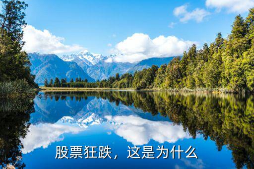 股票狂跌，這是為什么