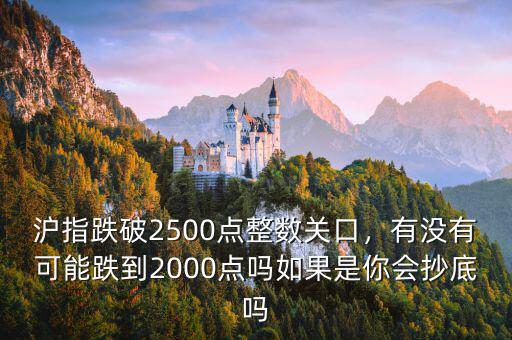 滬指跌破2500點整數關口，有沒有可能跌到2000點嗎如果是你會抄底嗎