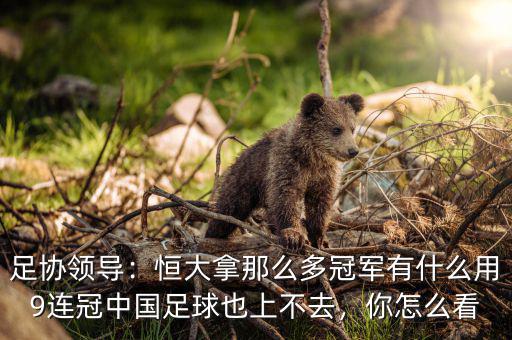 足協(xié)領(lǐng)導(dǎo)：恒大拿那么多冠軍有什么用9連冠中國(guó)足球也上不去，你怎么看