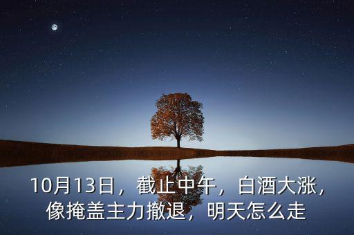 10月13日，截止中午，白酒大漲，像掩蓋主力撤退，明天怎么走