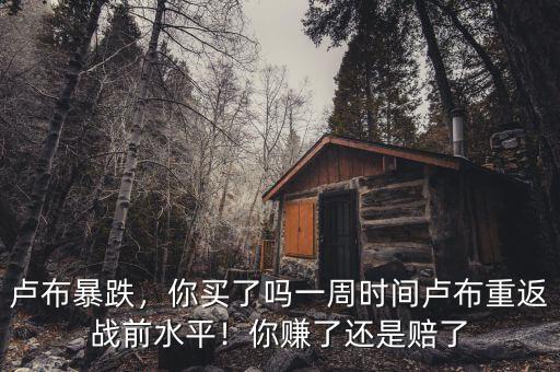 盧布暴跌，你買(mǎi)了嗎一周時(shí)間盧布重返戰(zhàn)前水平！你賺了還是賠了