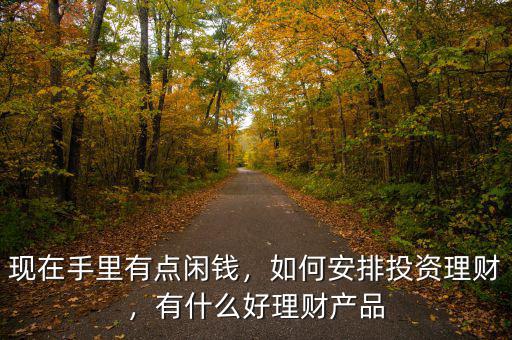 現(xiàn)在手里有點(diǎn)閑錢，如何安排投資理財(cái)，有什么好理財(cái)產(chǎn)品