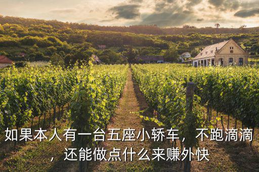 如果本人有一臺(tái)五座小轎車，不跑滴滴，還能做點(diǎn)什么來(lái)賺外快