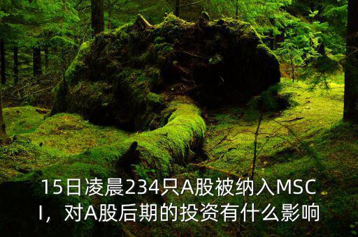 15日凌晨234只A股被納入MSCI，對(duì)A股后期的投資有什么影響