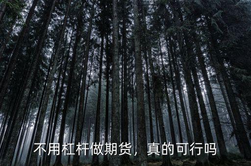 不用杠桿做期貨，真的可行嗎