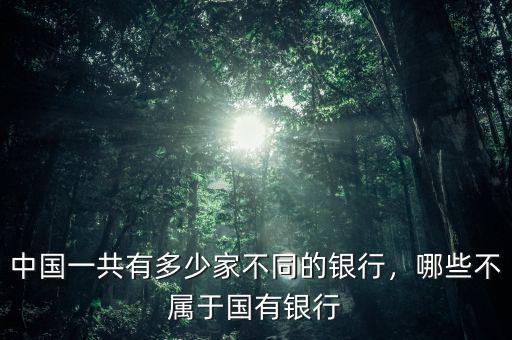 中國(guó)一共有多少家不同的銀行，哪些不屬于國(guó)有銀行
