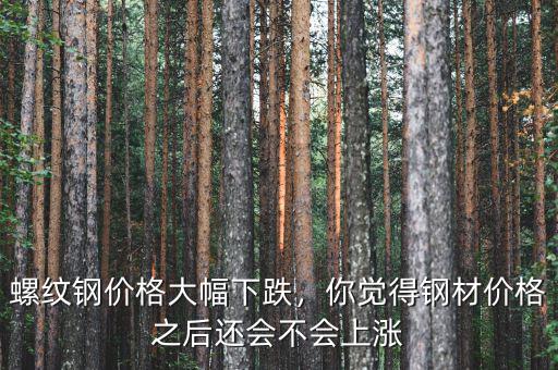 螺紋鋼價格大幅下跌，你覺得鋼材價格之后還會不會上漲