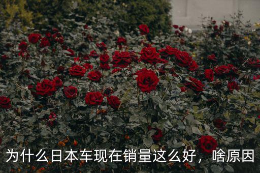 為什么日本車現(xiàn)在銷量這么好，啥原因
