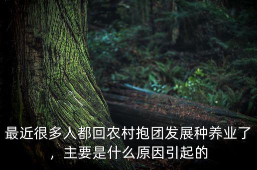 最近很多人都回農(nóng)村抱團(tuán)發(fā)展種養(yǎng)業(yè)了，主要是什么原因引起的