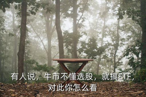 有人說(shuō)，牛市不懂選股，就搞ETF，對(duì)此你怎么看