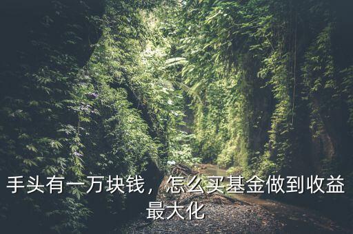 手頭有一萬塊錢，怎么買基金做到收益最大化