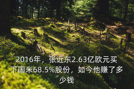 2016年，張近東2.63億歐元買(mǎi)下國(guó)米68.5%股份，如今他賺了多少錢(qián)