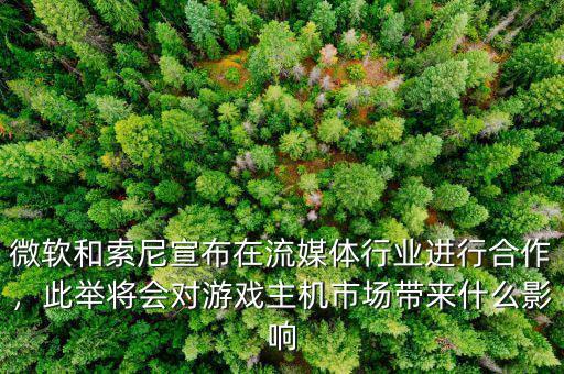 微軟對整個(gè)行業(yè)意味著什么,對行業(yè)會有哪些影響