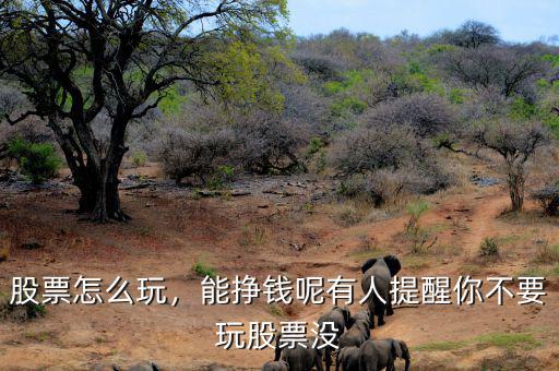 股票怎么玩，能掙錢呢有人提醒你不要玩股票沒