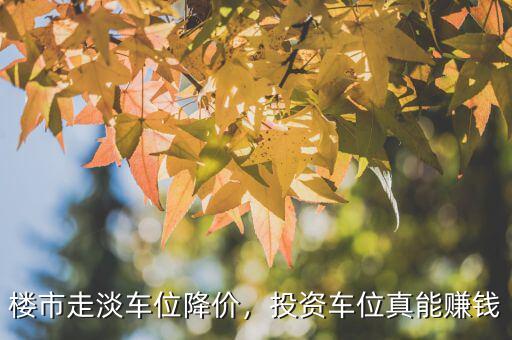 樓市走淡車位降價，投資車位真能賺錢
