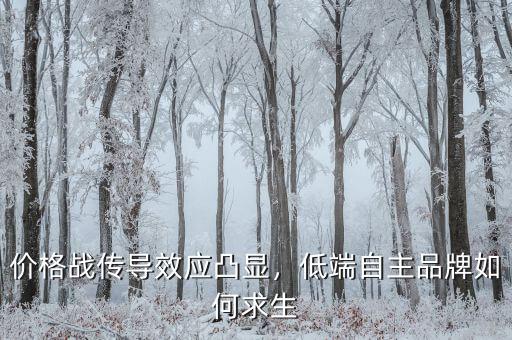 價(jià)格戰(zhàn)傳導(dǎo)效應(yīng)凸顯，低端自主品牌如何求生