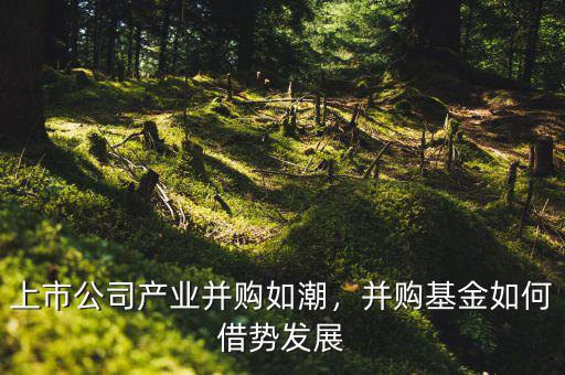 上市公司產(chǎn)業(yè)并購如潮，并購基金如何借勢發(fā)展