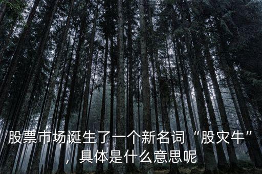 股票市場誕生了一個(gè)新名詞“股災(zāi)?！?，具體是什么意思呢