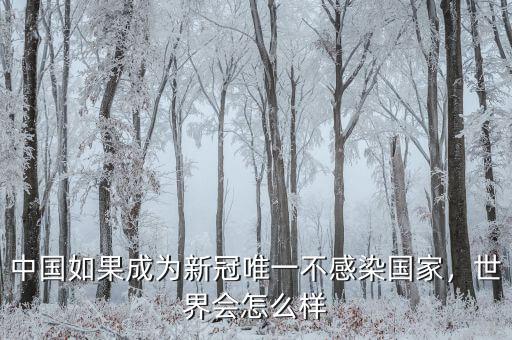 中國如果成為新冠唯一不感染國家，世界會怎么樣