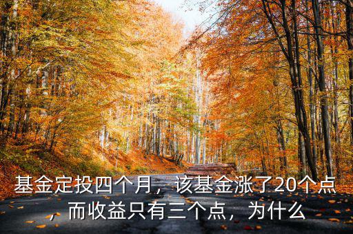 基金定投四個月，該基金漲了20個點(diǎn)，而收益只有三個點(diǎn)，為什么
