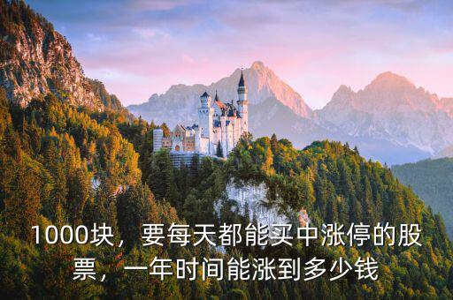 1000塊，要每天都能買中漲停的股票，一年時間能漲到多少錢