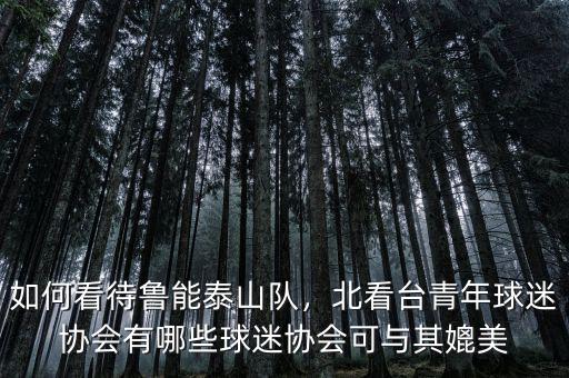如何看待魯能泰山隊，北看臺青年球迷協(xié)會有哪些球迷協(xié)會可與其媲美