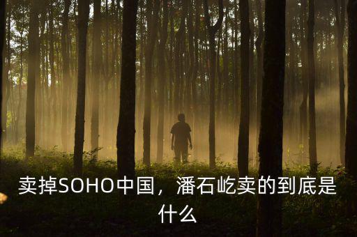賣掉SOHO中國，潘石屹賣的到底是什么