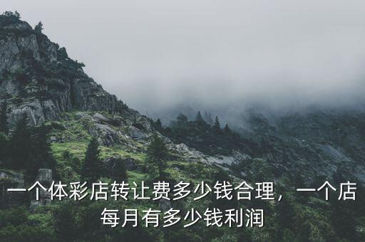 一個體彩店轉(zhuǎn)讓費多少錢合理，一個店每月有多少錢利潤